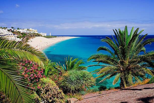 Caleta Relax - Apartamento Fuerteventura Apartment La Oliva Extérieur photo