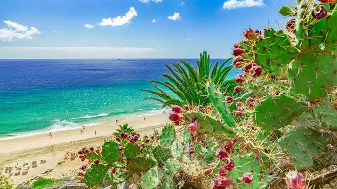 Caleta Relax - Apartamento Fuerteventura Apartment La Oliva Extérieur photo
